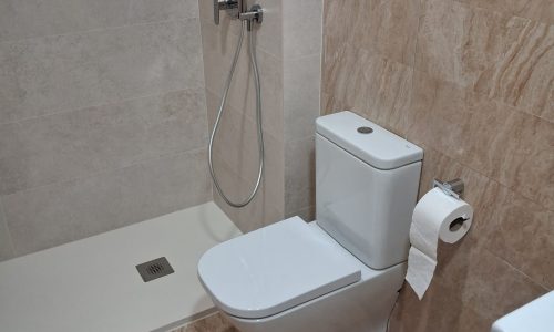 Reforma integral baño (2)